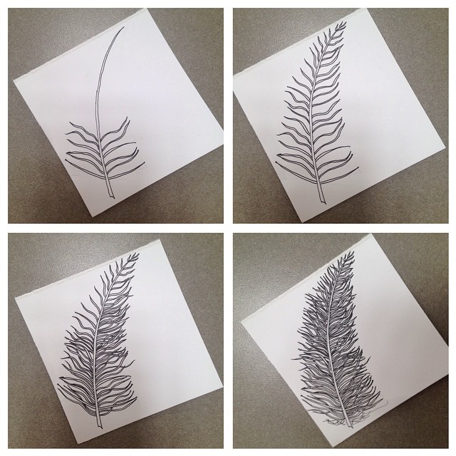 The Zentangle method of drawing a feather ala "One Zentangle A Day."