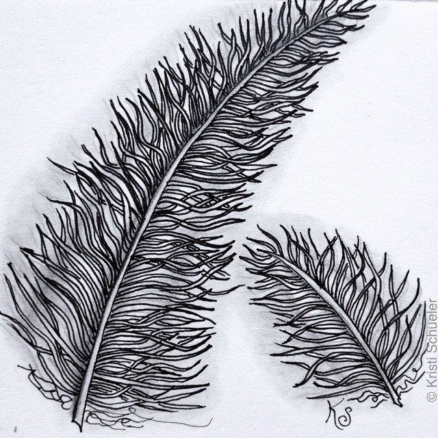 A pair of feathers on the wind.